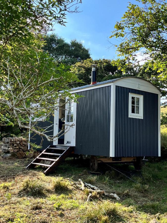 The Hazel Hut Villa Westport Ngoại thất bức ảnh